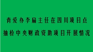 青爱办在四川项目点抽检中央财政资助项目开展情况