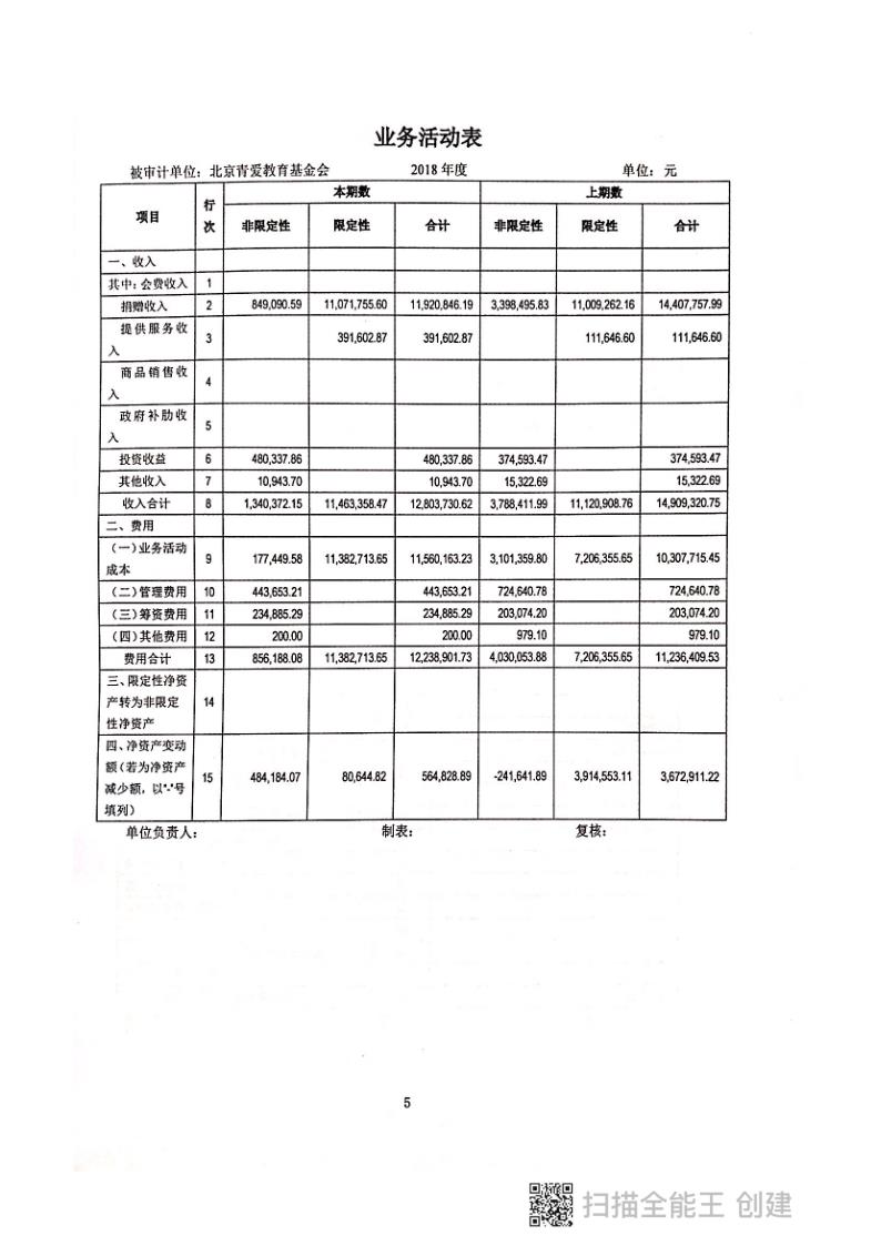 2018年年报及审计报告_119