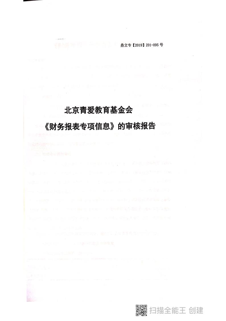 2018年年报及审计报告_133