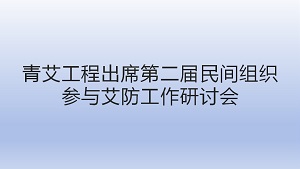 青艾工程出席第二届民间组织参与艾防工作研讨会