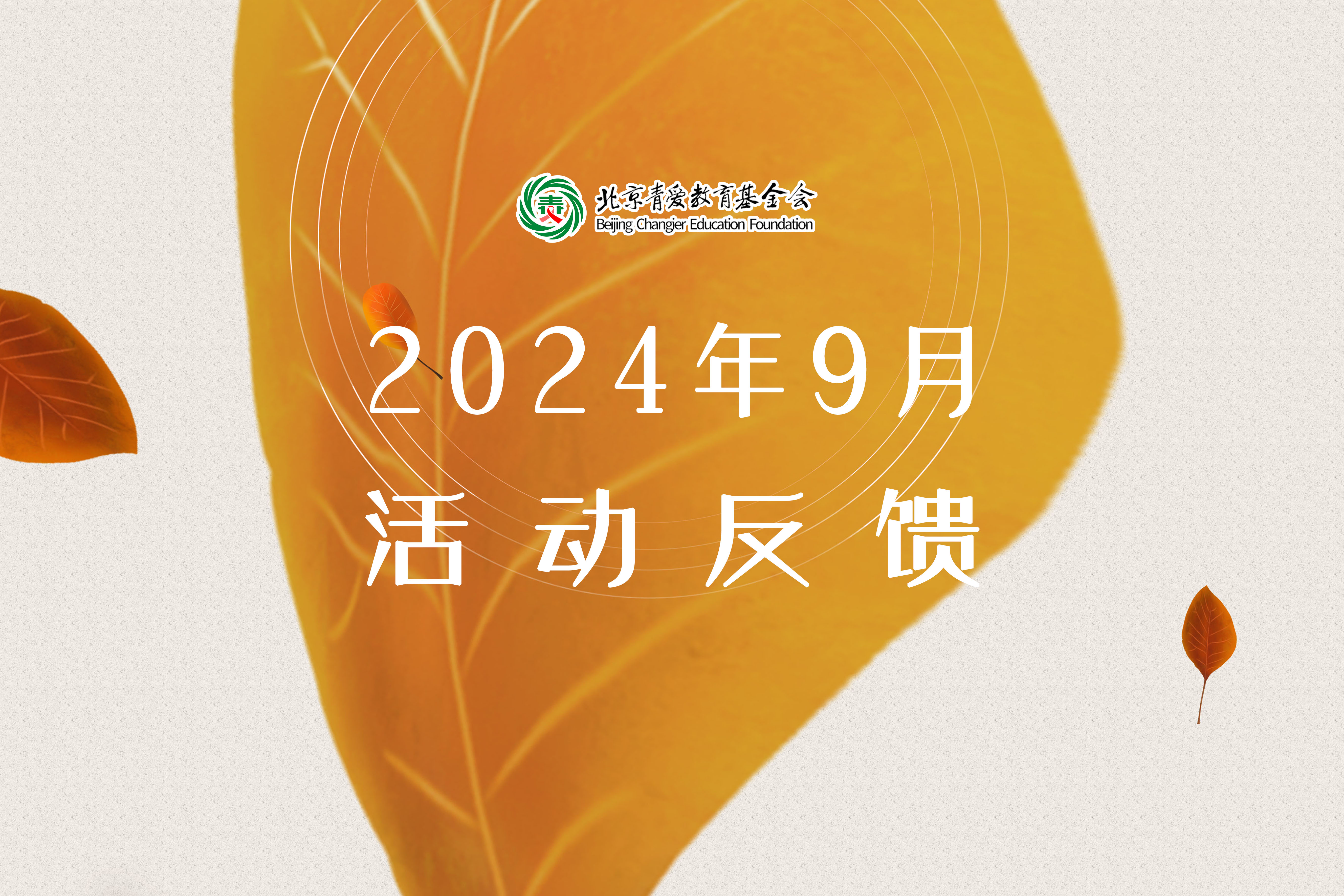 2024年9月项目反馈