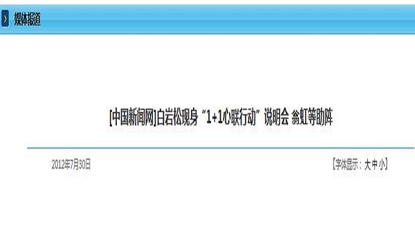 [中国新闻网]白岩松现身“1+1心联行动”说明会 翁虹等助阵